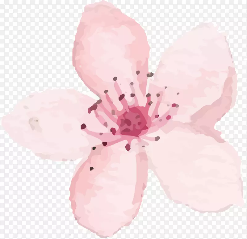 粉色水彩美丽花朵