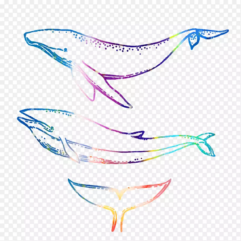彩色鲸鱼