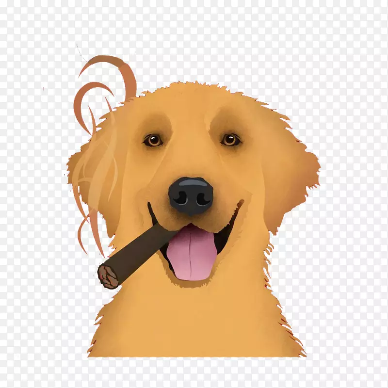 抽烟的狗狗