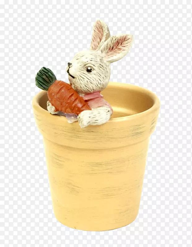 在花盆里的兔子抱胡萝卜