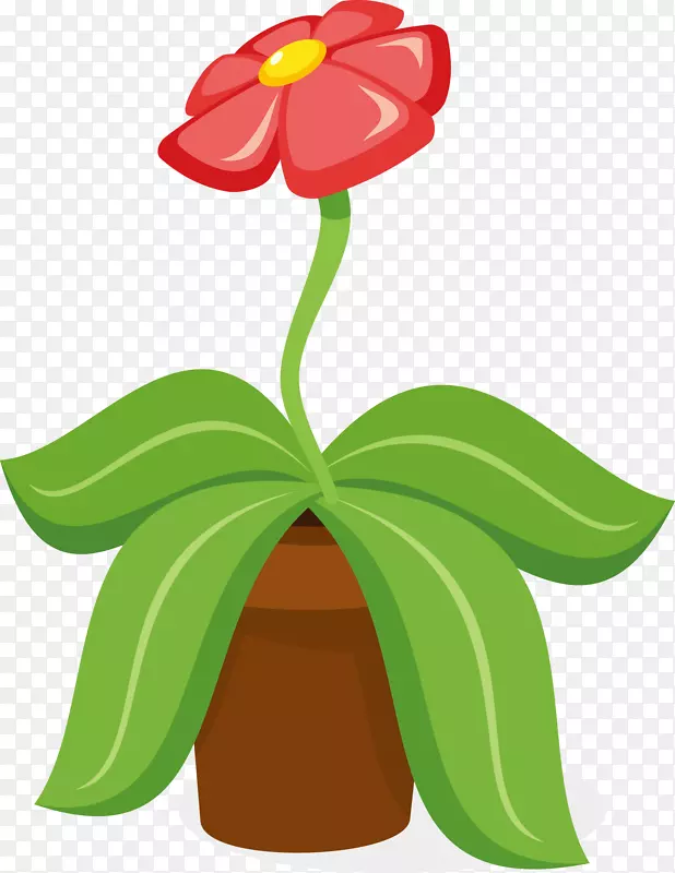 花盆里的一朵红花