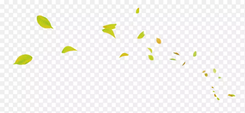 绿色叶子飞舞漂浮素材