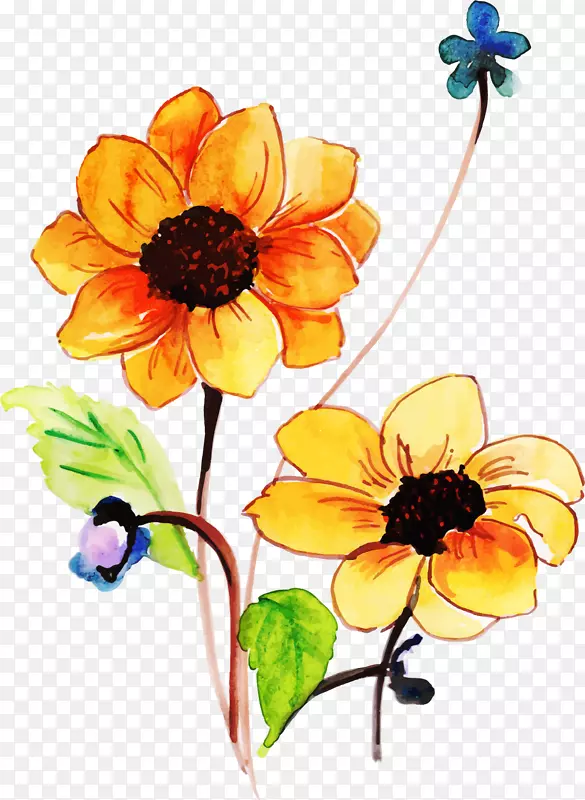 矢量手绘水彩向阳花