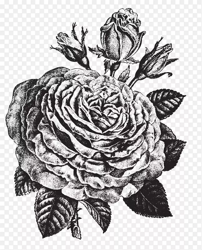 手绘带叶子的玫瑰花