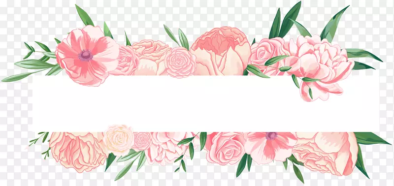 手绘粉色植物花朵边框