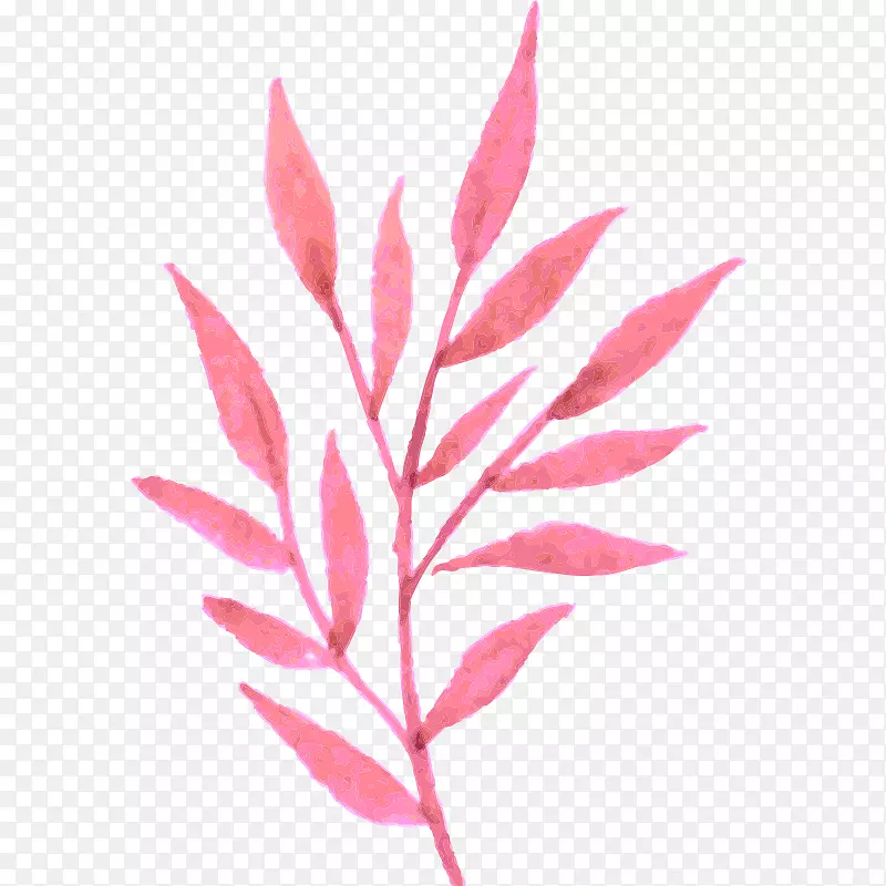 水彩画 植物  花朵 手绘 树叶