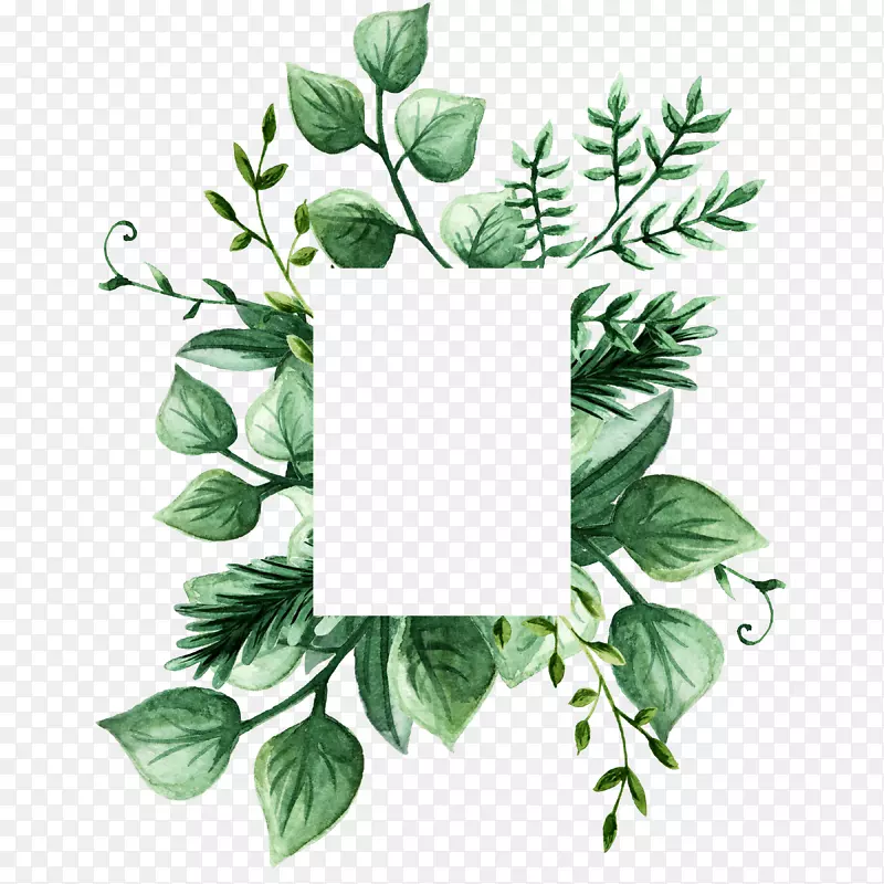 绿色手绘的树叶边框
