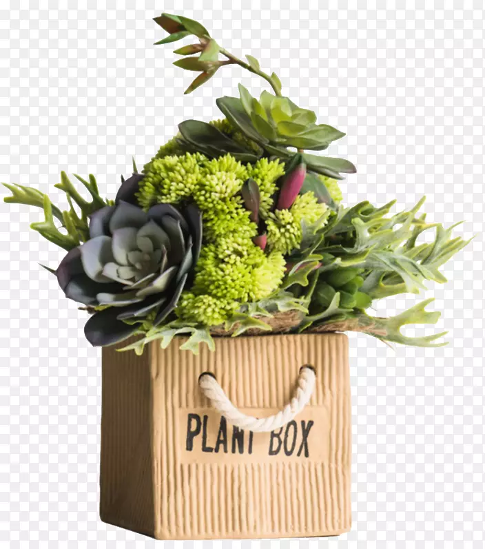 购物袋花瓶的植物摆件