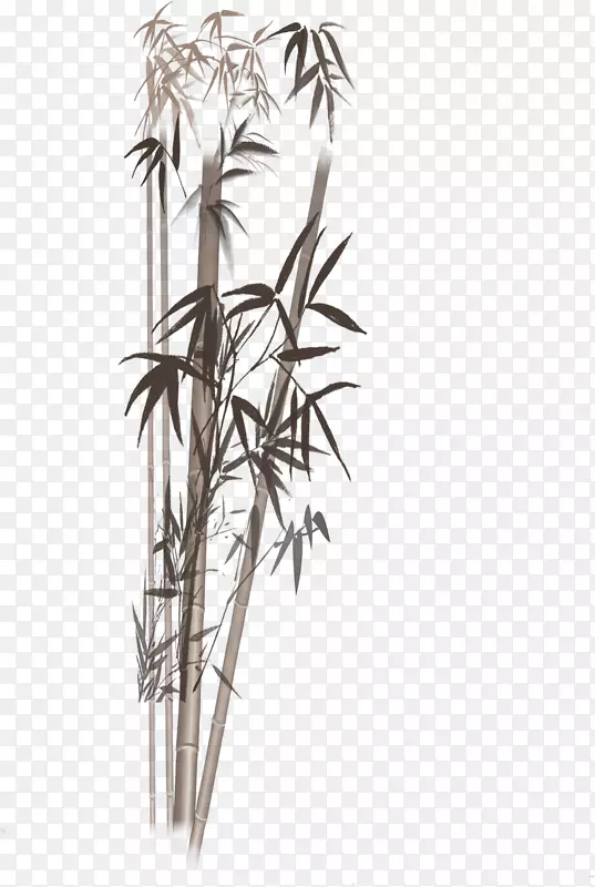 水墨画竹子中国风格