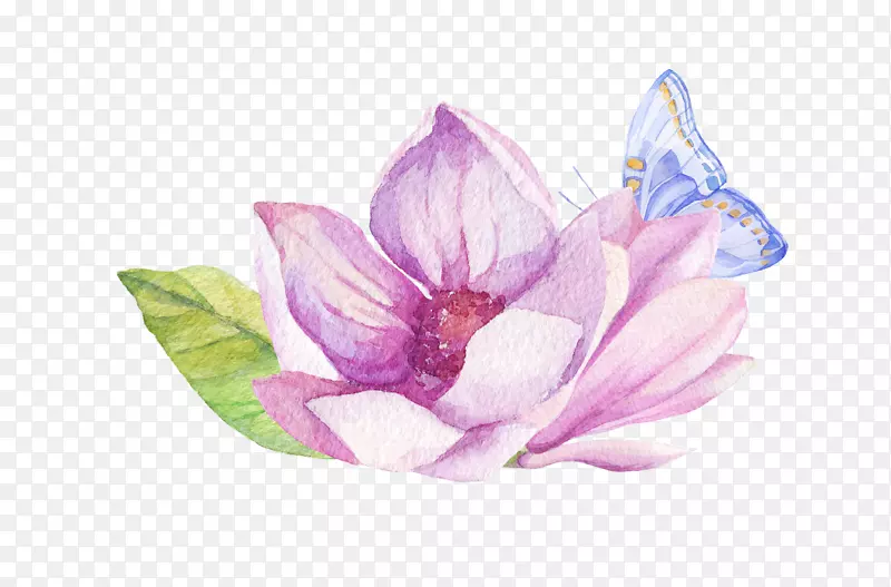 手绘水彩粉色花朵蝴蝶