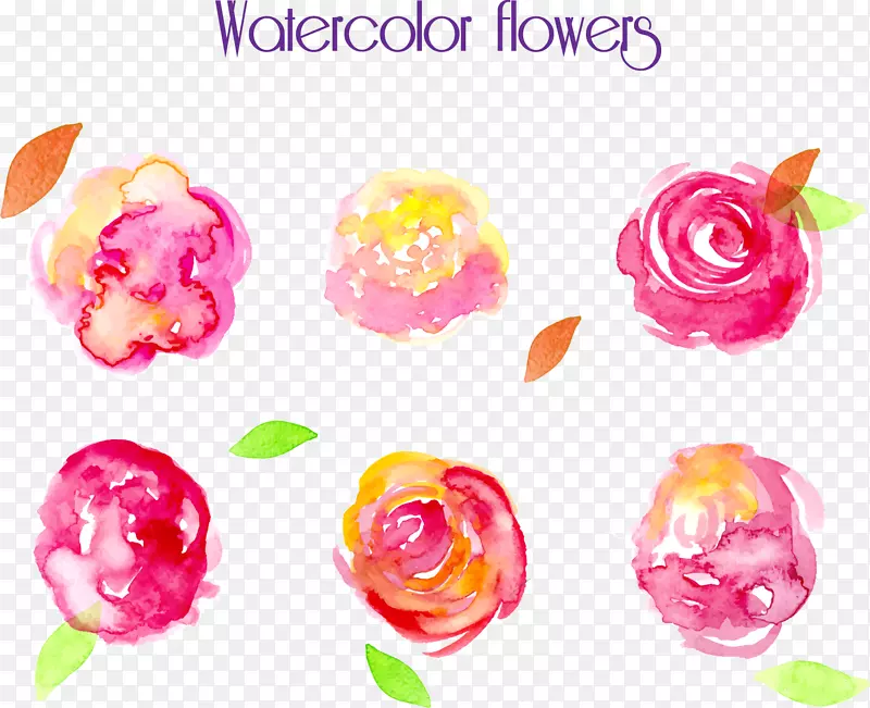 矢量花朵的水彩画插图
