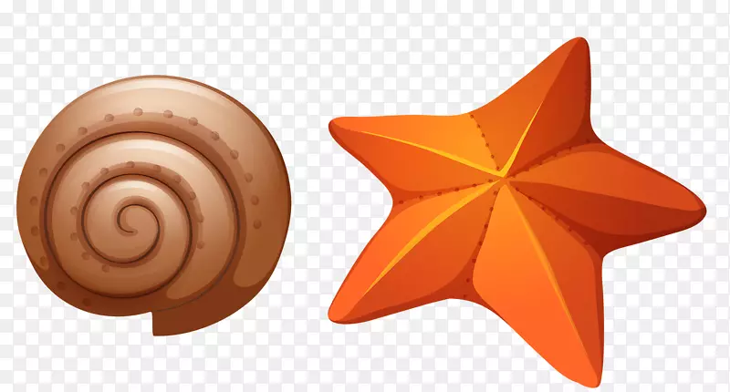 海星和蜗牛