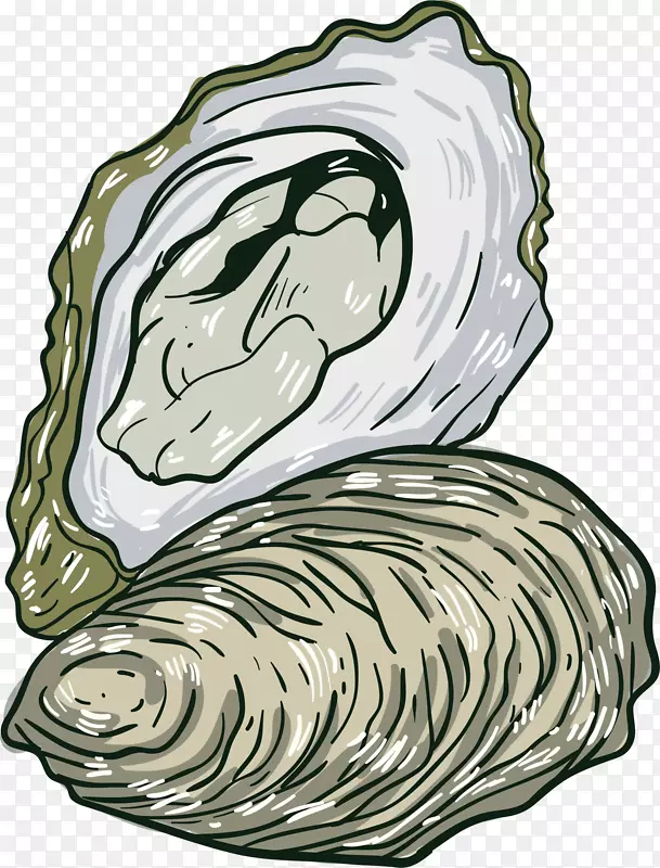 精美海鲜矢量元素