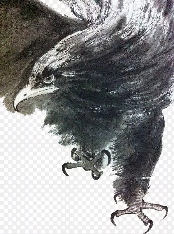 鹰传统水墨画