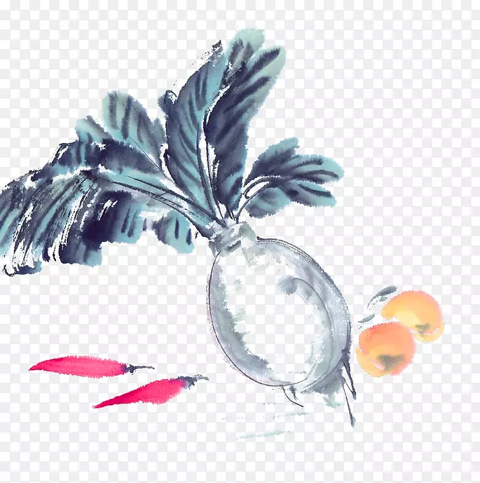 萝卜