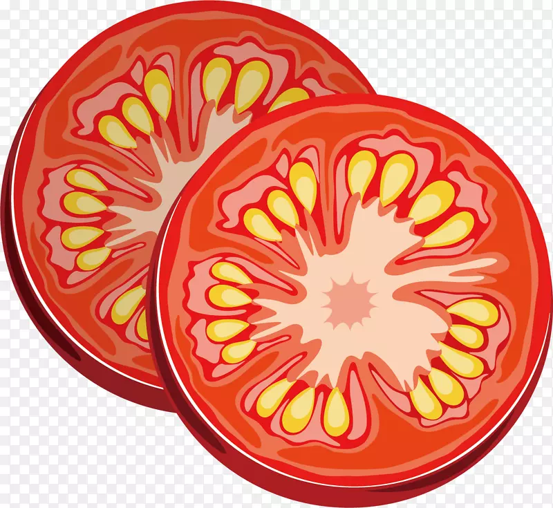 矢量图西红柿