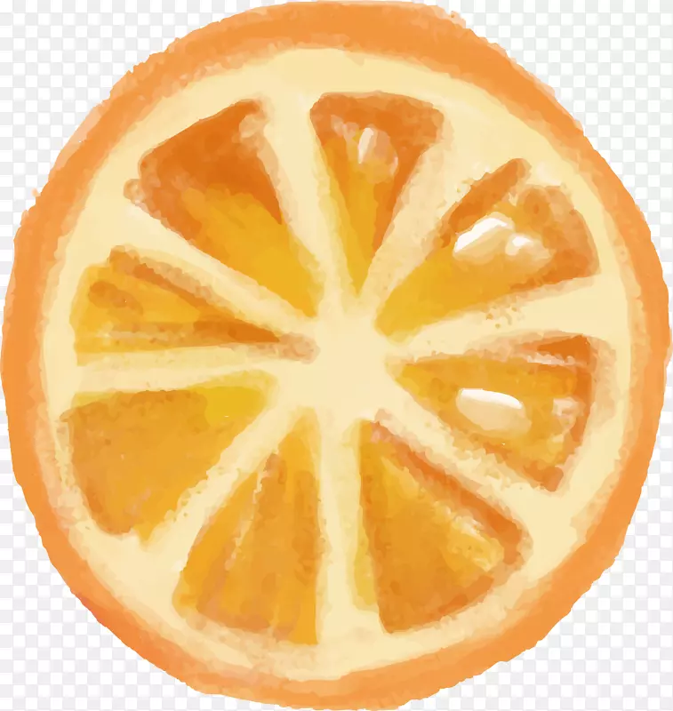 水彩橙子设计