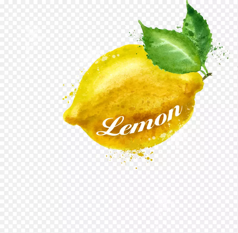 手绘黄色柠檬