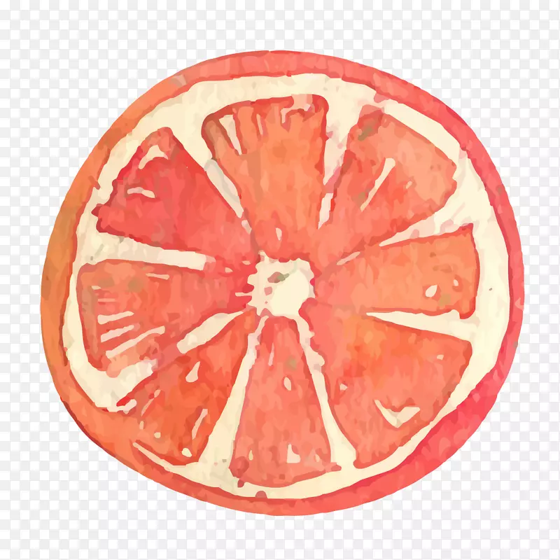 矢量卡通水彩水果橙子png