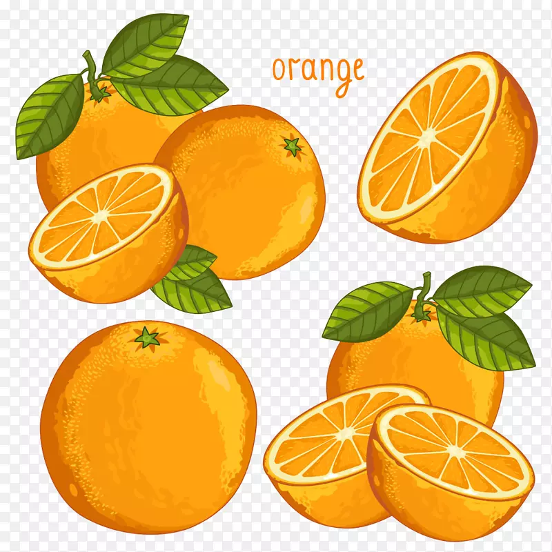 卡通橙子图片