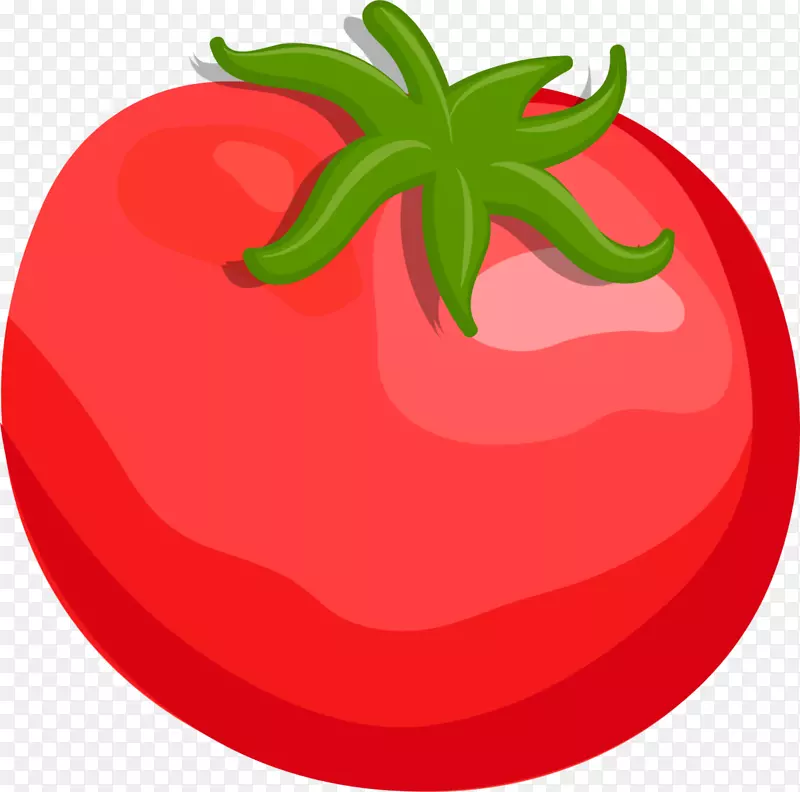 手绘红色西红柿