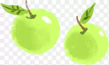 手绘水彩绿色的苹果