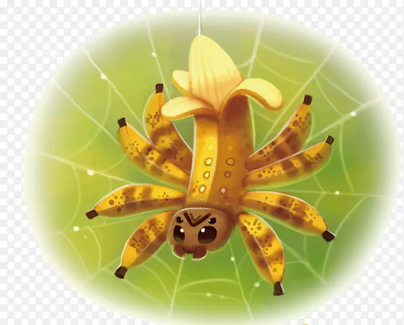 矢量香蕉蜘蛛