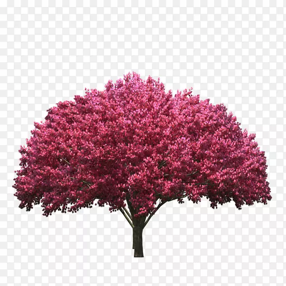 粉红色大树图案