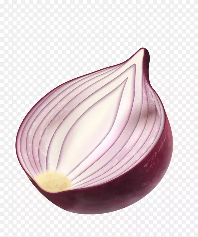 简约红色洋葱