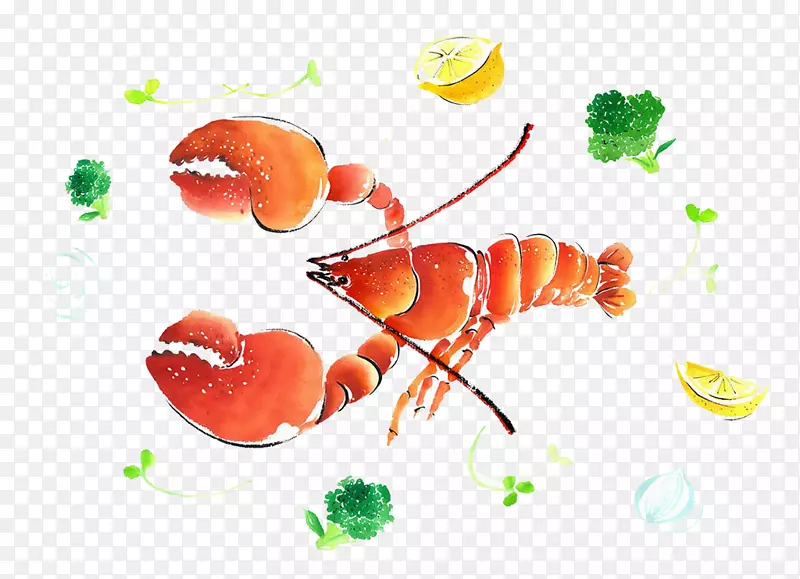 龙虾水彩画