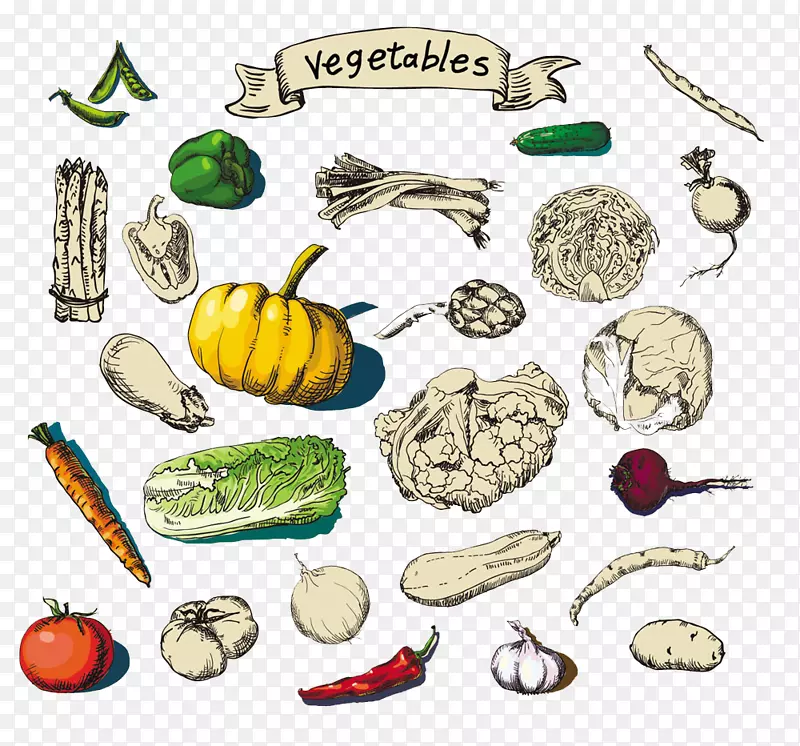 卡通蔬菜画