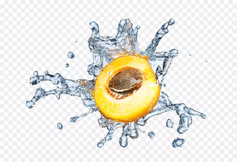 水中的桃子素材图片