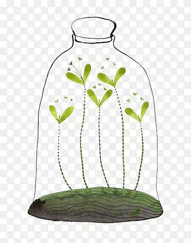 瓶子里的绿芽