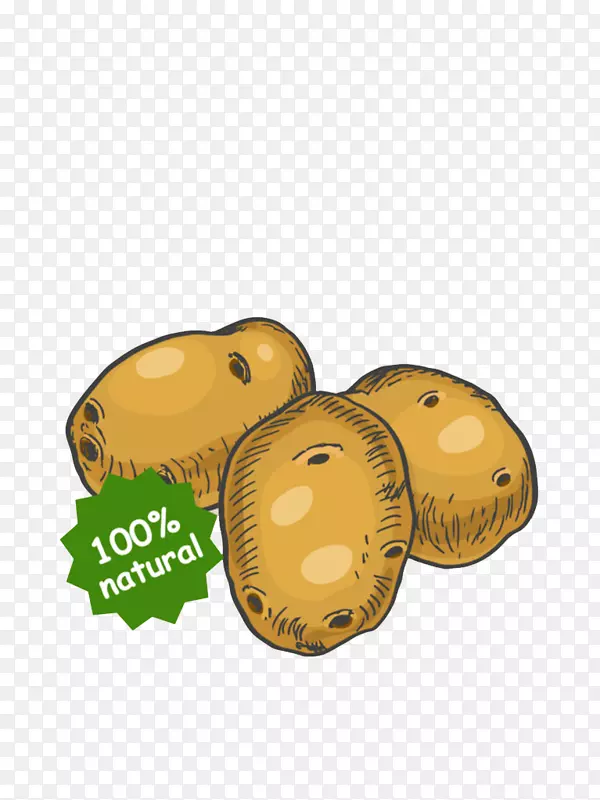 水彩土豆