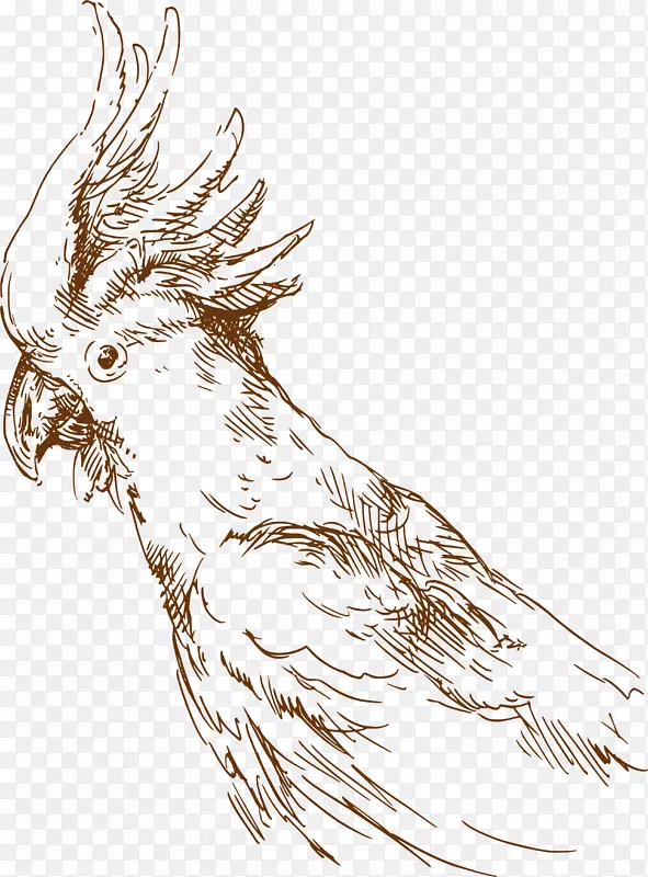 水彩卡通战斗鸡设计
