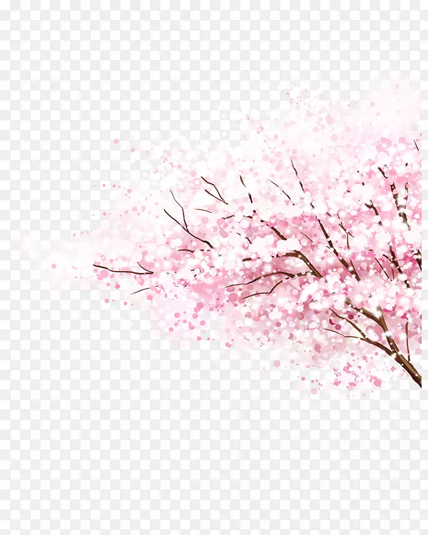 清新唯美粉色樱花树