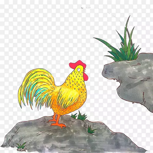 公鸡打鸣手绘画素材图片