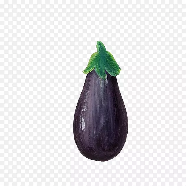 手绘的紫茄子