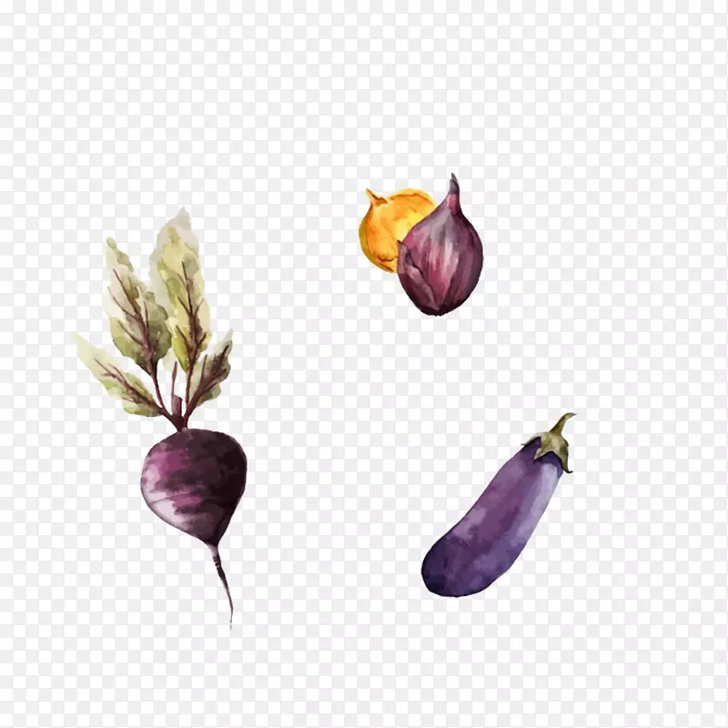 手绘水彩紫色蔬菜免抠图