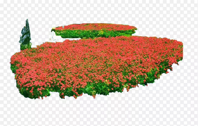 鲜花花坛