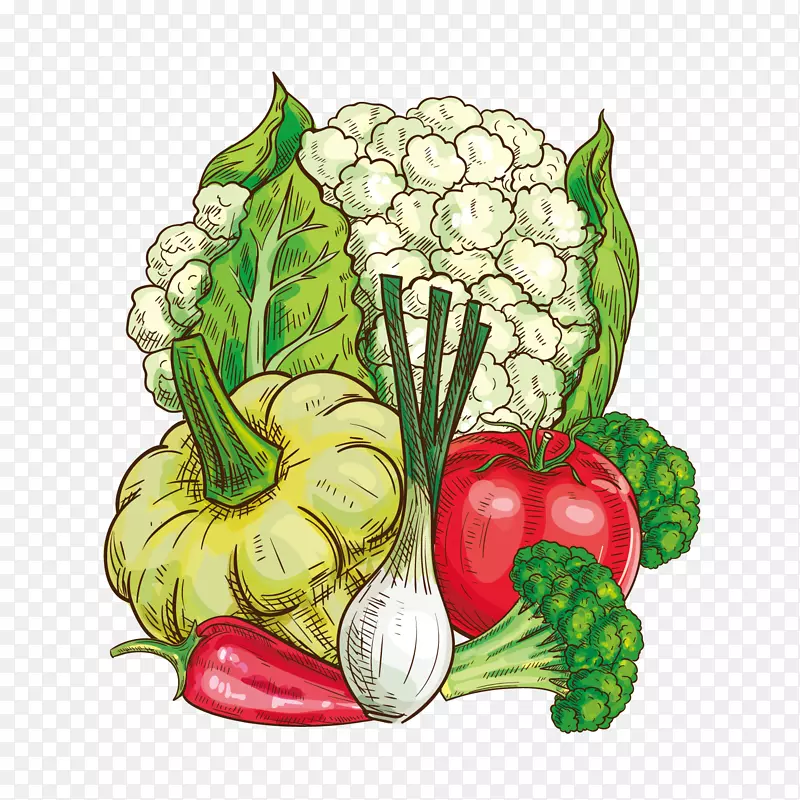 手绘各种食材蔬菜