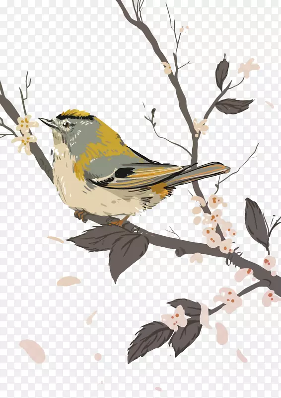 矢量花鸟
