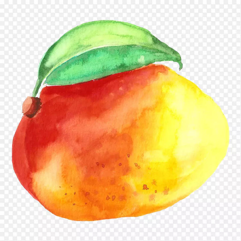 手绘水彩水果芒果