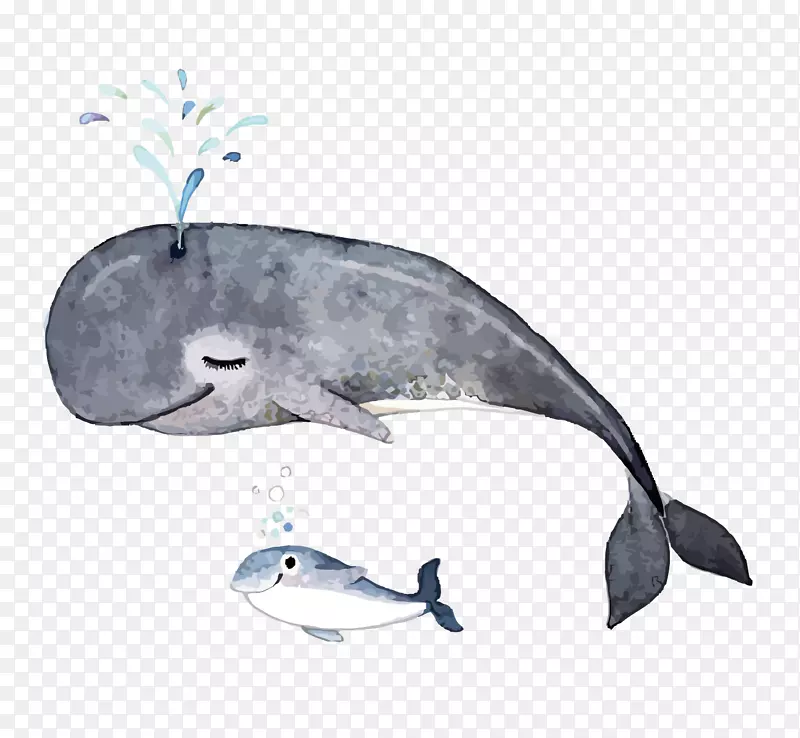矢量水彩鲸鱼