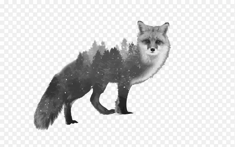 矢量森林狐狸