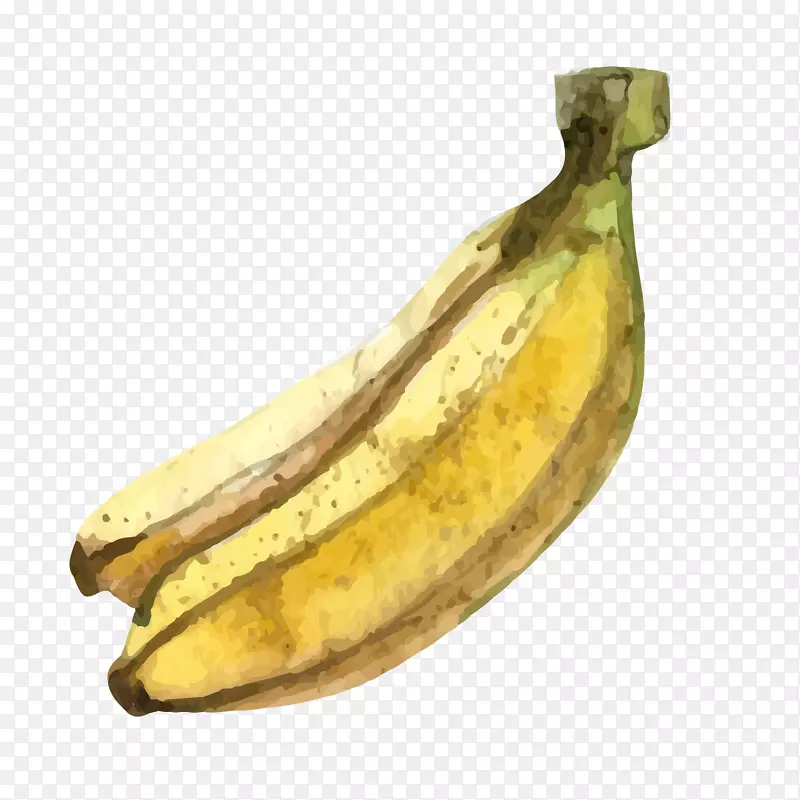 矢量卡通水彩香蕉水果png