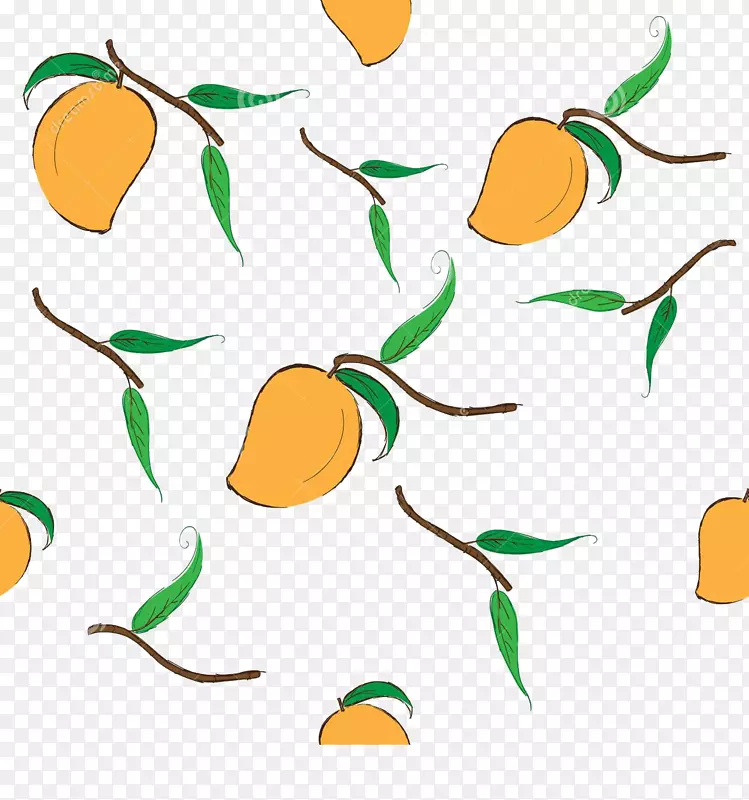 芒果叶图片