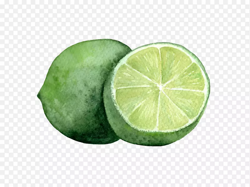 手绘的青柠檬水果