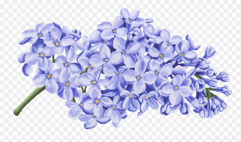手绘水彩绘画立体蓝色花卉