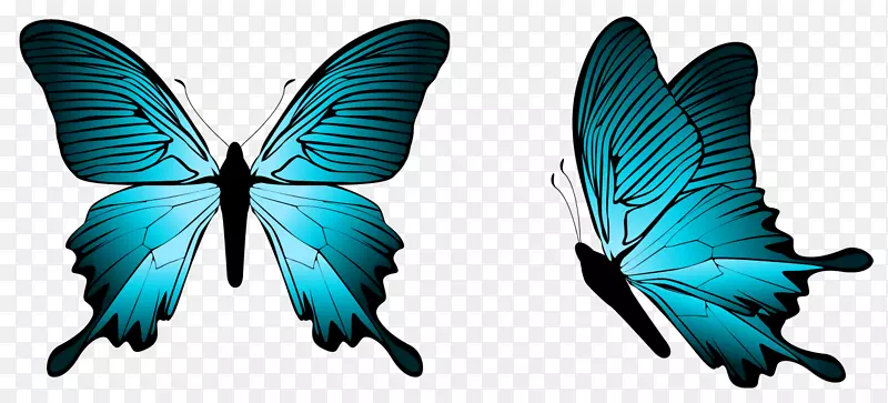 飞舞的蓝色蝴蝶